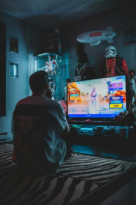 A person playing an online game